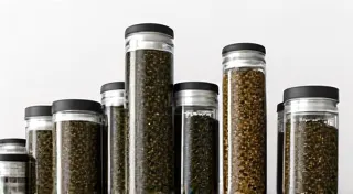The Art of Tea Storage: Maintaining Freshness & Flavor
