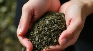 Common Mistakes to Avoid When Blending Tea